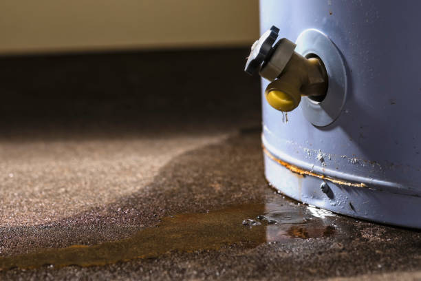 Best Water damage cleanup near me  in Twentynine Palms, CA