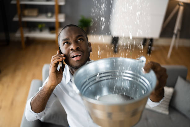 Best Ceiling water damage repair  in Twentynine Palms, CA