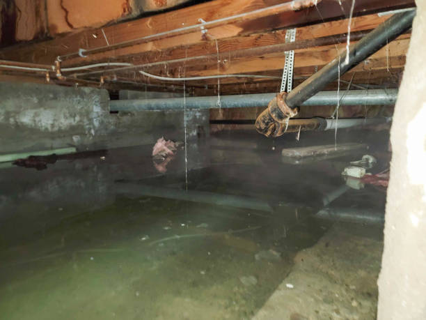 Water damage restoration mold remediation in Twentynine Palms, CA