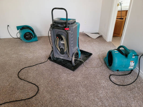 Best Carpet water damage restoration  in Twentynine Palms, CA