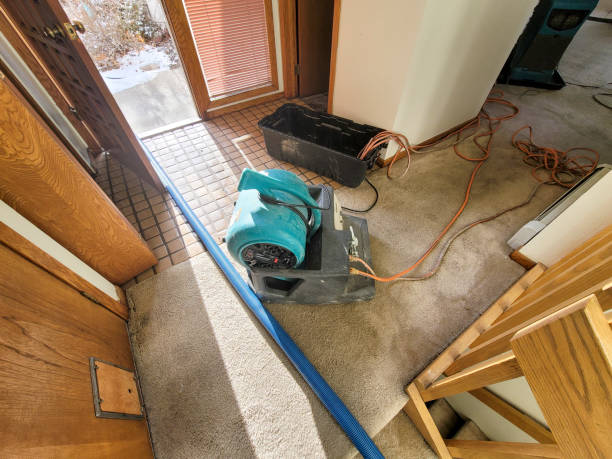 Best 24/7 water damage repair  in Twentynine Palms, CA