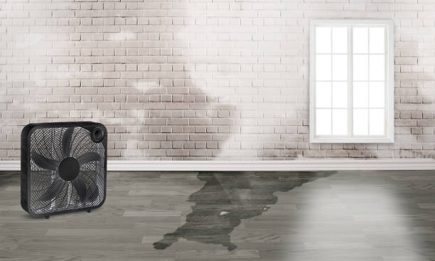 Best Commercial water damage restoration  in Twentynine Palms, CA